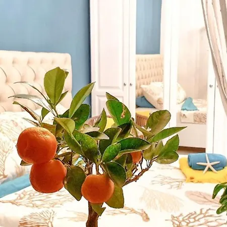 Apartmán New!!! New Riva Luxury One - With Sunny Terrace & Big Garden Poreč